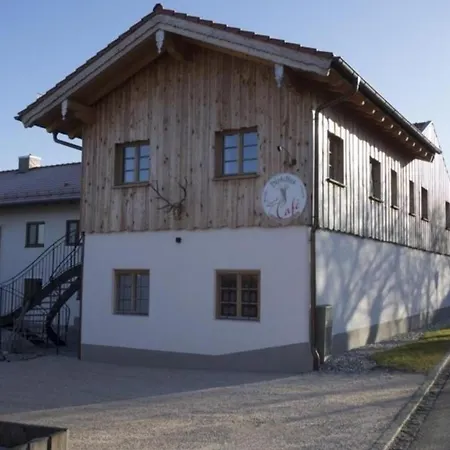 Apartman Gemuetliche In Hirschbichl Mit Terrasse